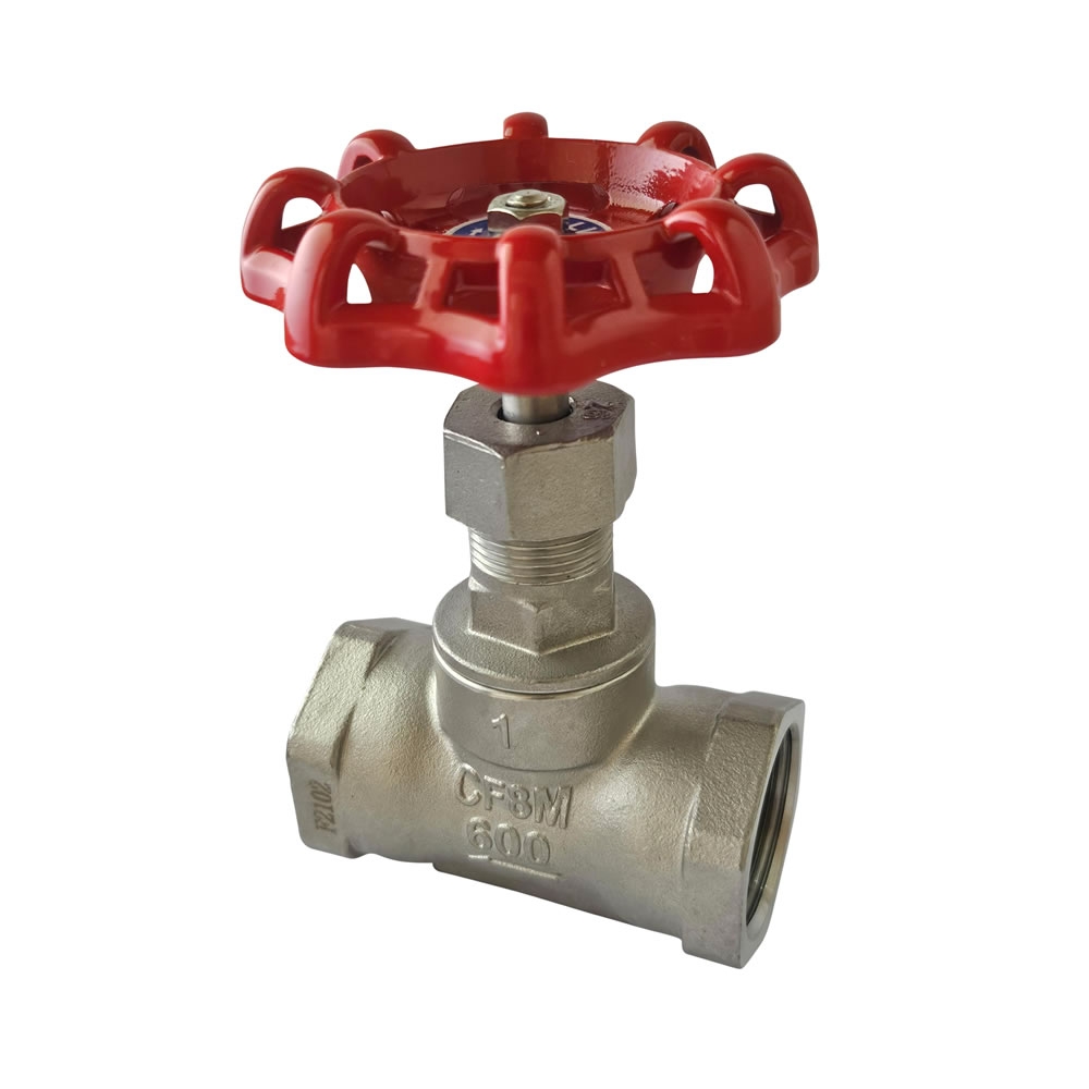 GLOBE VALVE